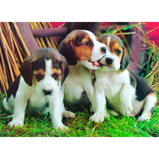 Puzzle Eurographics Cachorros de 1000 Piezas