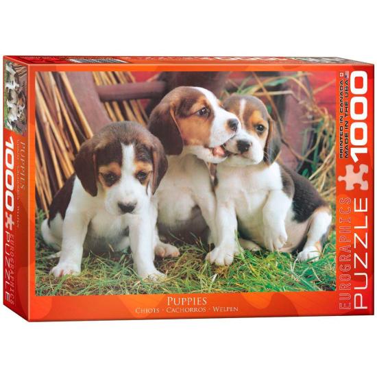 Puzzle Eurographics Cachorros de 1000 Piezas