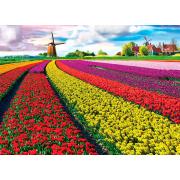 Puzzle Eurographics Campo de Tulipanes, Holanda de 1000 Pzs