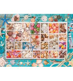 Puzzle Eurographics Colección de Conchas de 1000 Piezas