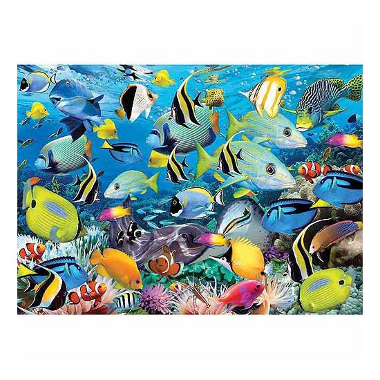 Puzzle Eurographics Los Colores del Océano de 1000 Piezas