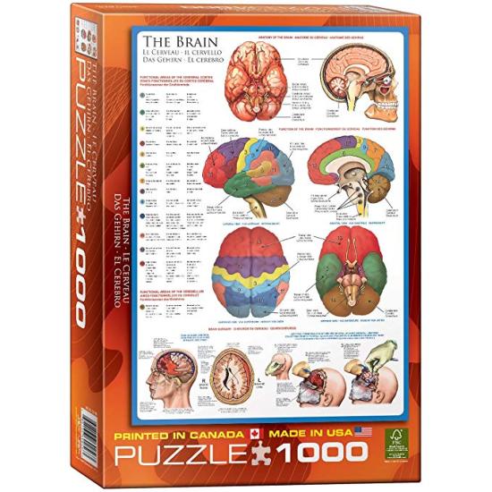Puzzle Eurographics El Cerebro de 1000 Piezas