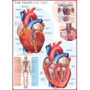 Puzzle Eurographics El Corazón de 1000 Piezas