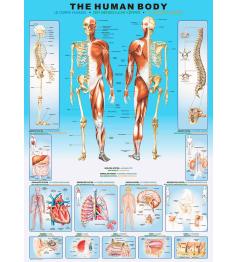 Puzzle Eurographics El Cuerpo Humano de 1000 Piezas