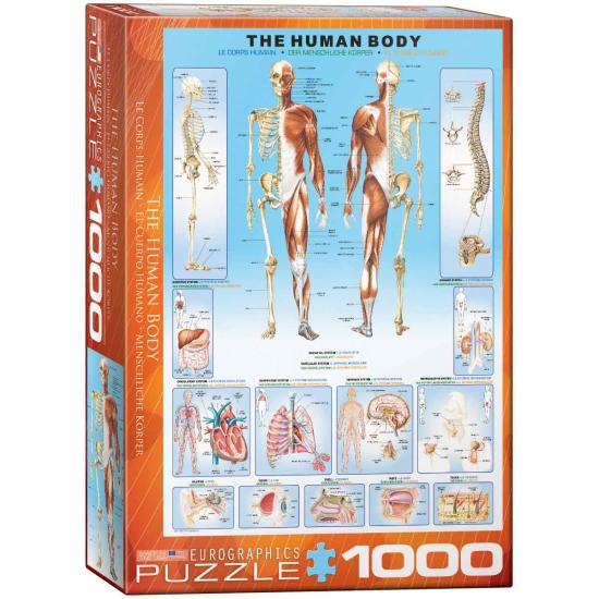 Puzzle Eurographics El Cuerpo Humano de 1000 Piezas
