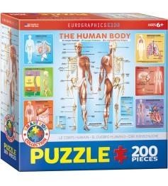 Puzzle Eurographics El Cuerpo Humano de 200 Piezas