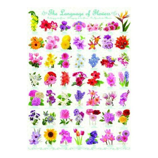 Puzzle Eurographics El Lenguaje de las Flores de 1000 Piezas Puzzle Eurographics El Lenguaje de las Flores de 1000 Piezas
