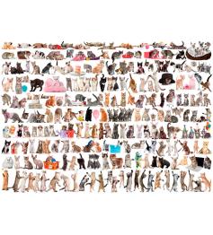 Puzzle Eurographics El Mundo de los Gatos de 1000 Piezas