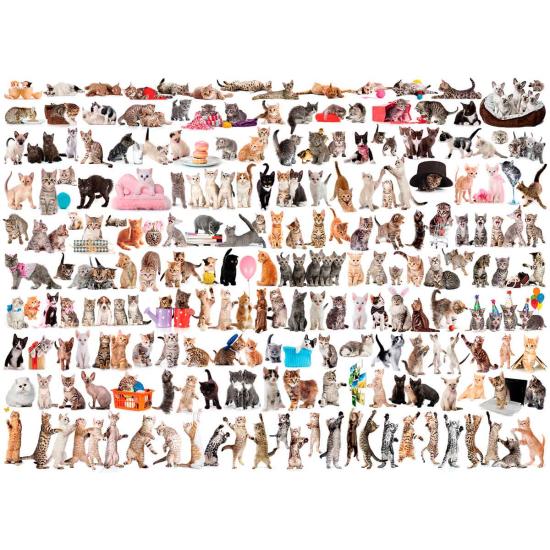 Puzzle Eurographics El Mundo de los Gatos de 1000 Piezas Puzzle Eurographics El Mundo de los Gatos de 1000 Piezas
