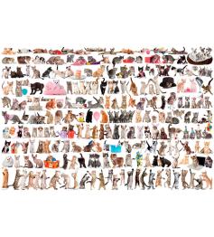 Puzzle Eurographics El Mundo de los Gatos de 2000 Piezas