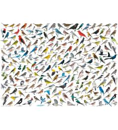 Puzzle Eurographics El Mundo de los Pájaros de 1000 Piezas