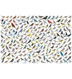 Puzzle Eurographics El Mundo de los Pájaros de 2000 Piezas