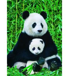Puzzle Eurographics Familia de Osos Panda de 1000 Piezas