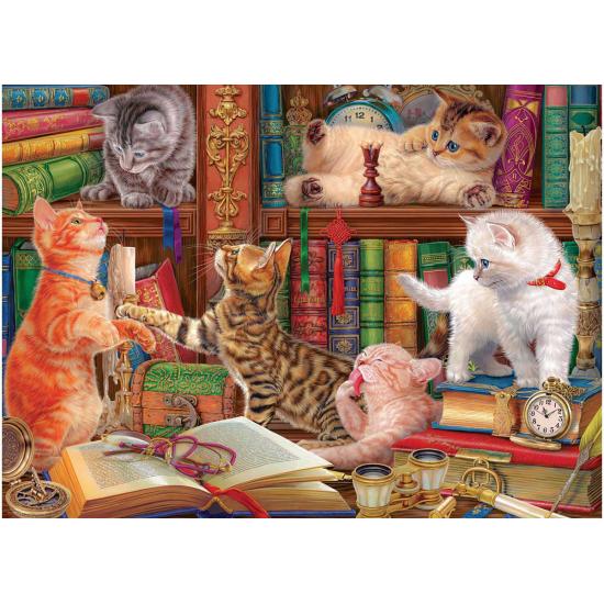 Puzzle Eurographics Gatitos De La Biblioteca de 1000 Piezas