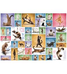 Puzzle Eurographics Gatos de Yoga de 1000 Piezas