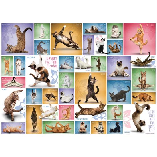 Puzzle Eurographics Gatos de Yoga de 1000 Piezas