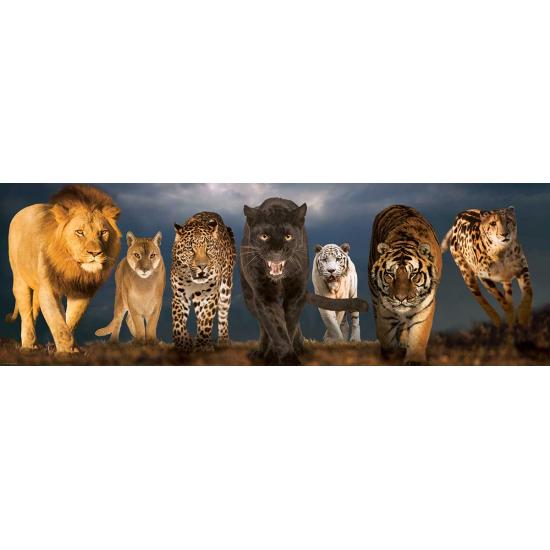 Puzzle Eurographics Grandes Felinos de 1000 Piezas