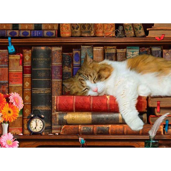 Puzzle Eurographics La Siesta del Gato XXL de 500 Piezas Puzzle Eurographics La Siesta del Gato XXL de 500 Piezas