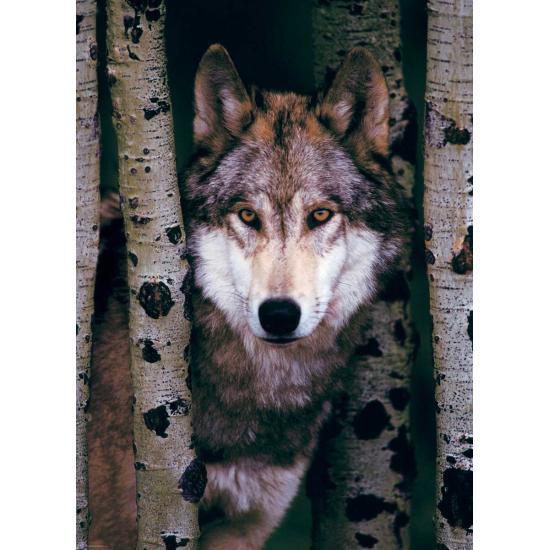 Puzzle Eurographics Lobo Gris de 1000 Piezas