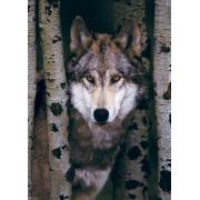 Puzzle Eurographics Lobo Gris de 1000 Piezas