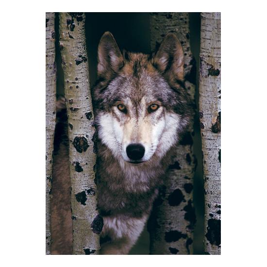 Puzzle Eurographics Lobo Gris de 1000 Piezas