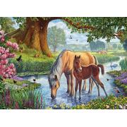 Puzzle Eurographics Los Ponis Fell de 1000 Piezas