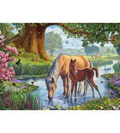 Puzzle Eurographics Los Ponis Fell de 1000 Piezas