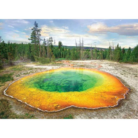 Puzzle Eurographics Morning Glory Pool de 1000 Piezas