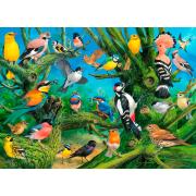 Puzzle Eurographics Pájaros de Jardín de 1000 Piezas