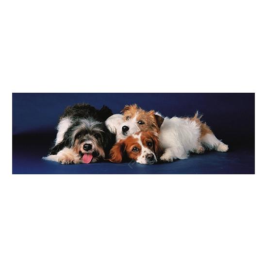 Puzzle Eurographics Panorama de Cachorros de 750 Piezas