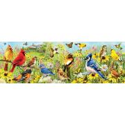 Puzzle Eurographics Panorama Pájaros de Jardín de 1000 Piezas