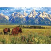 Puzzle Eurographics Parque Nacional de Grand Teton de 1000 Pzs