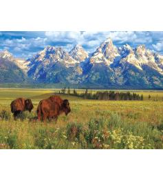 Puzzle Eurographics Parque Nacional de Grand Teton de 1000 Pzs