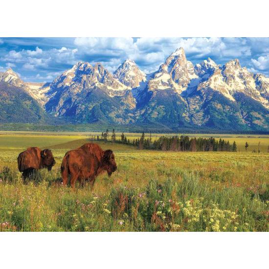 Puzzle Eurographics Parque Nacional de Grand Teton de 1000 Pzs