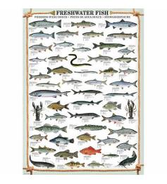 Puzzle Eurographics Peces de Agua Dulce de 1000 Piezas