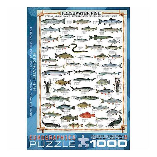 Puzzle Eurographics Peces de Agua Dulce de 1000 Piezas