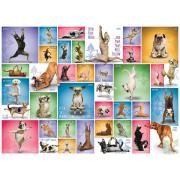 Puzzle Eurographics Perros de Yoga de 1000 Piezas