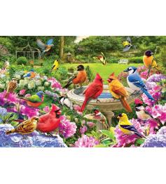 Puzzle Eurographics Pájaros de Jardín de 2000 Piezas