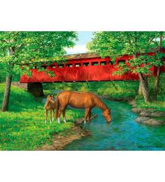 Puzzle Eurographics Puente sobre Agua Dulce de 1000 Piezas