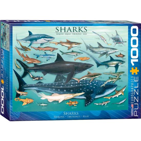 Puzzle Eurographics Tiburones de 1000 Piezas Puzzle Eurographics Tiburones de 1000 Piezas
