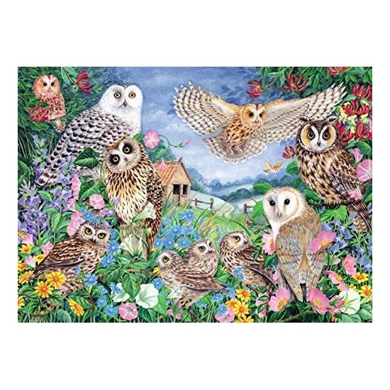 Puzzle Falcon Buhos en el Bosque de 1000 Piezas Puzzle Falcon Buhos en el Bosque de 1000 Piezas