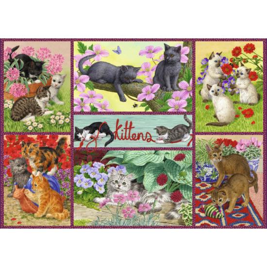 Puzzle Falcon Gatitos Juguetones de 500 Piezas