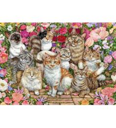 Puzzle Falcon Gatos en las Flores de 1000 Piezas