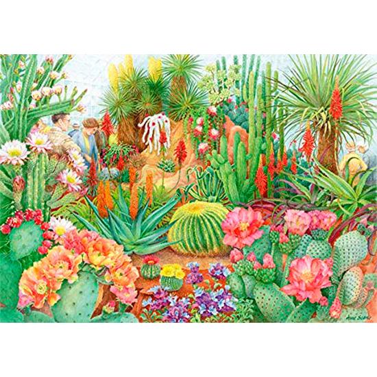 Puzzle Falcon Muestra de Flores: Cactus del Desierto de 1000 Pz Puzzle Falcon Muestra de Flores: Cactus del Desierto de 1000 Pz