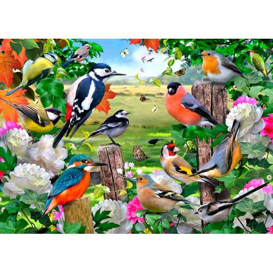 Puzzle Falcon Pajaros de Todas las Estaciones de 1000 Piezas Puzzle Falcon Pajaros de Todas las Estaciones de 1000 Piezas