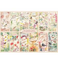 Puzzle Falcon Un Año en el Diario de Campo de 1000 Piezas