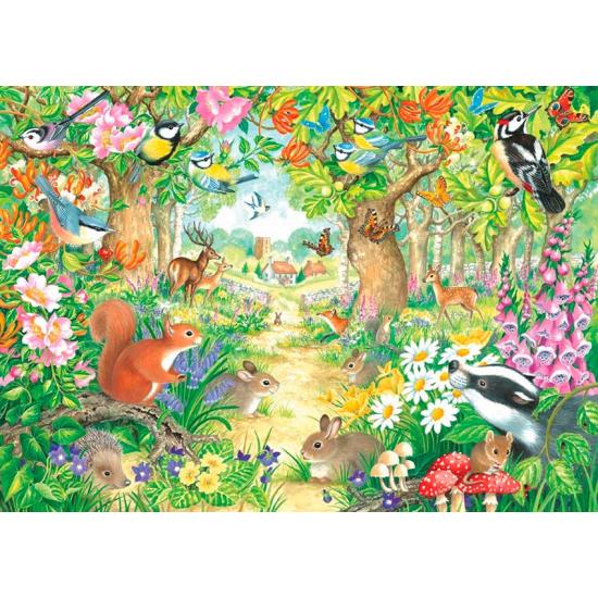 Puzzle Falcon Un Sendero Forestal de 1000 Piezas