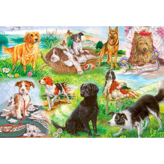 Puzzle Gibsons Movimiento de Cola de 500 Piezas