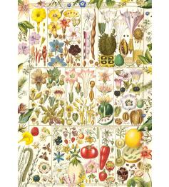 Puzzle Gibsons Tratado Botánico de 1000 Piezas