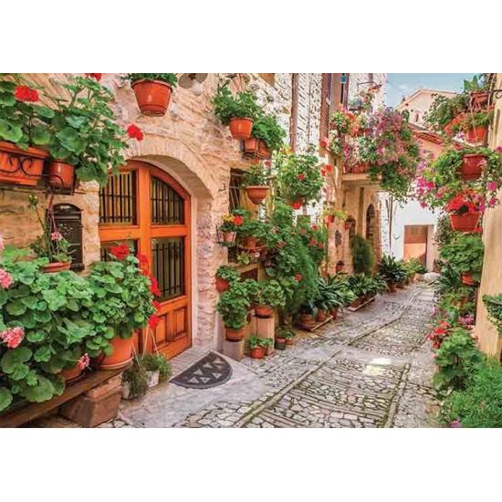 Puzzle Gold Calle de la Toscana, Italia de 1000 Piezas